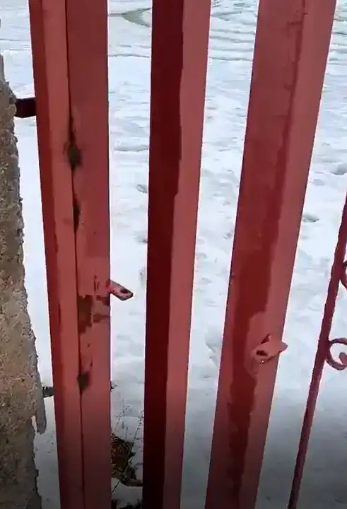 Alanya'da Asma Kilidi Kırdı, Camiye Avlusunda Drift Attı 6